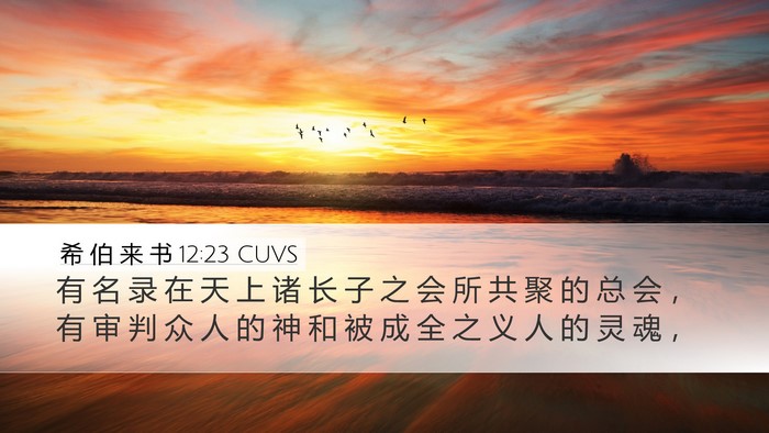 希 伯 来 书 12:23 CUVS Bible Verse Image