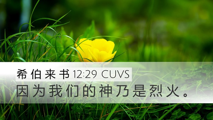 希 伯 来 书 12:29 CUVS Bible Verse Image