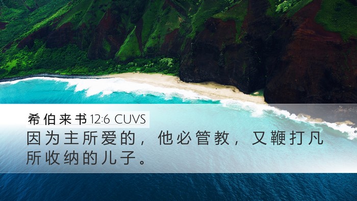 希 伯 来 书 12:6 CUVS Bible Verse Image