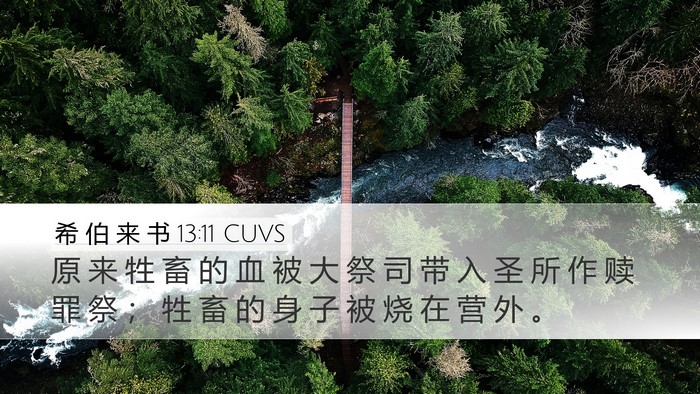 希 伯 来 书 13:11 CUVS Bible Verse Image