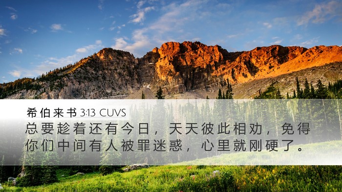 希 伯 来 书 3:13 CUVS Bible Verse Image