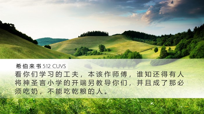 希 伯 来 书 5:12 CUVS Bible Verse Image