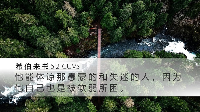 希 伯 来 书 5:2 CUVS Bible Verse Image
