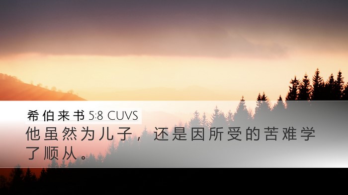 希 伯 来 书 5:8 CUVS Bible Verse Image