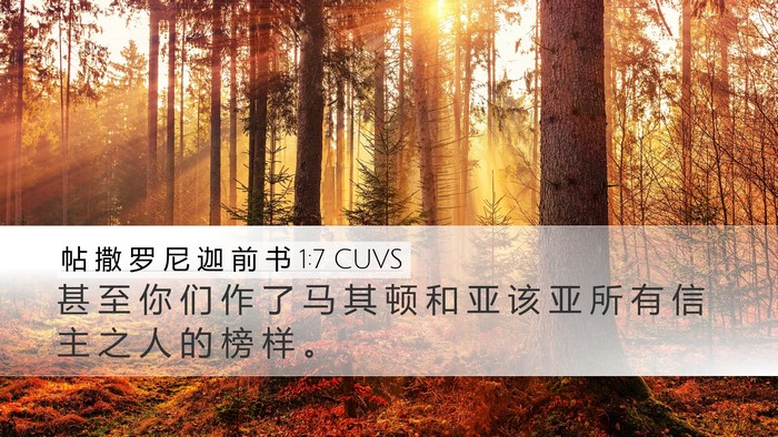 帖 撒 罗 尼 迦 前 书 1:7 CUVS Bible Verse Image