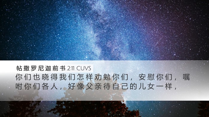 帖 撒 罗 尼 迦 前 书 2:11 CUVS Bible Verse Image