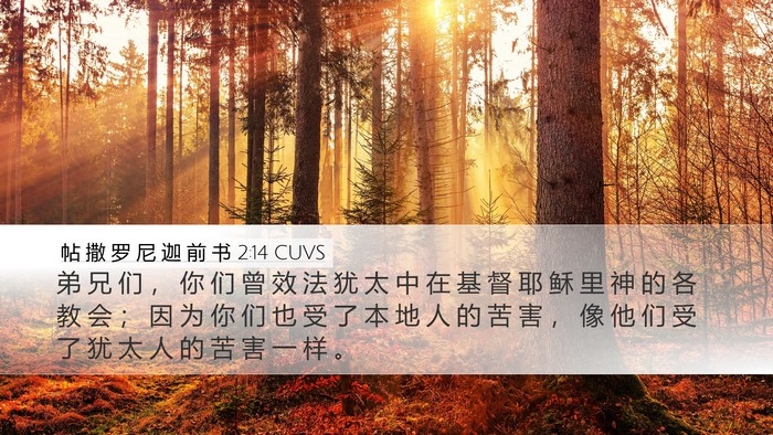 帖 撒 罗 尼 迦 前 书 2:14 CUVS Bible Verse Image