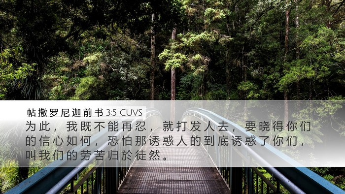 帖 撒 罗 尼 迦 前 书 3:5 CUVS Bible Verse Image