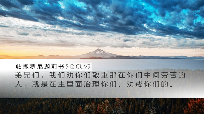 帖 撒 罗 尼 迦 前 书 5:12 CUVS Bible Verse Image
