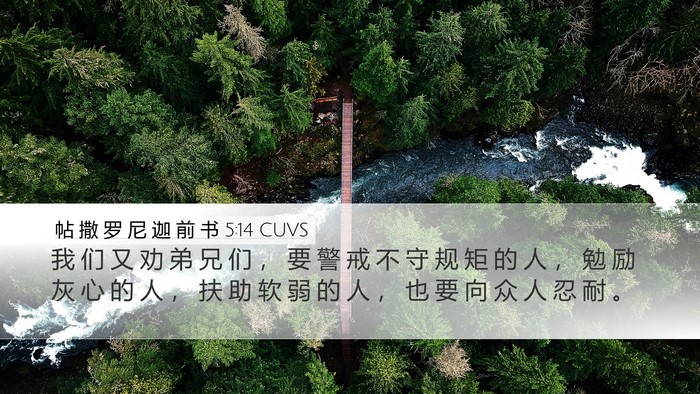 帖 撒 罗 尼 迦 前 书 5:14 CUVS Bible Verse Image