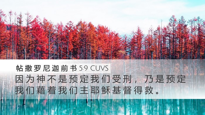 帖 撒 罗 尼 迦 前 书 5:9 CUVS Bible Verse Image