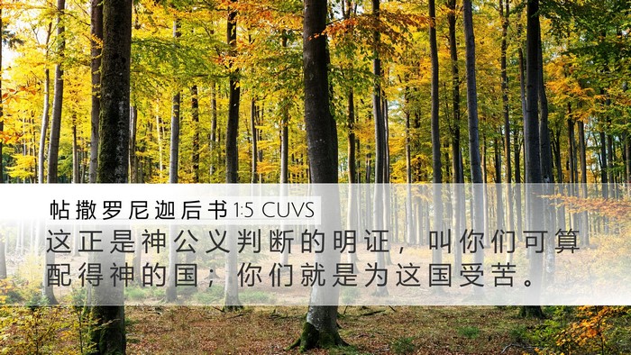 帖 撒 罗 尼 迦 后 书 1:5 CUVS Bible Verse Image