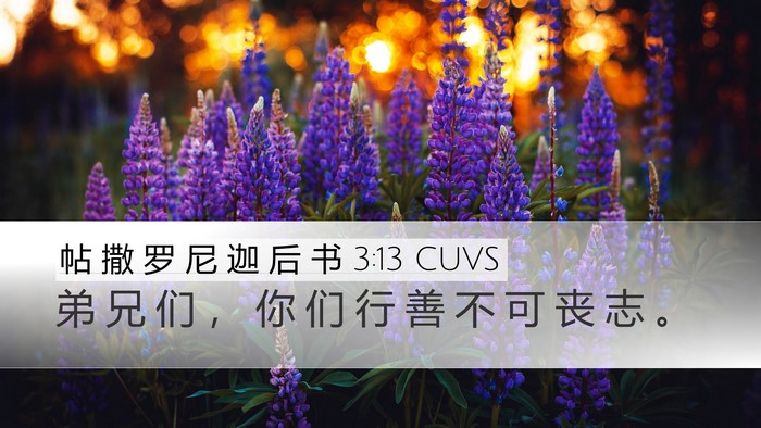 帖 撒 罗 尼 迦 后 书 3:13 CUVS Bible Verse Image