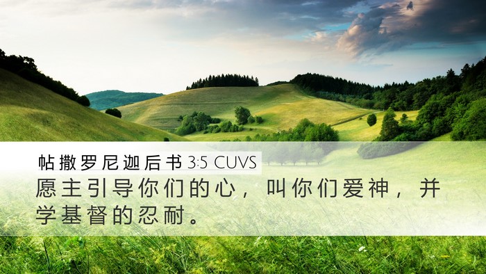 帖 撒 罗 尼 迦 后 书 3:5 CUVS Bible Verse Image