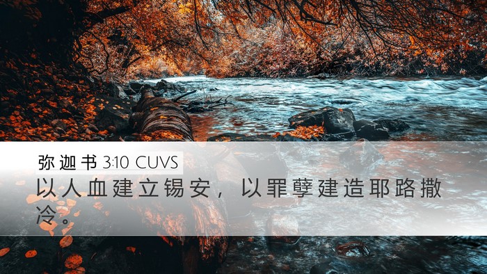 弥 迦 书 3:10 CUVS Bible Verse Image