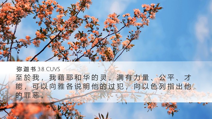 弥 迦 书 3:8 CUVS Bible Verse Image