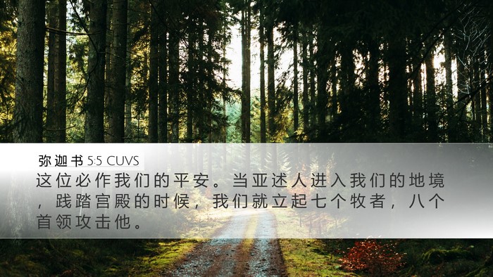 弥 迦 书 5:5 CUVS Bible Verse Image