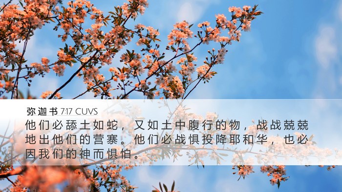 弥 迦 书 7:17 CUVS Bible Verse Image