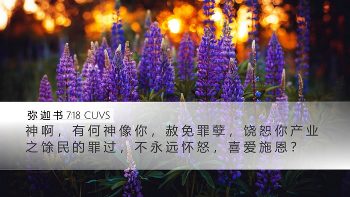 弥 迦 书 7:18 CUVS Bible Verse Image