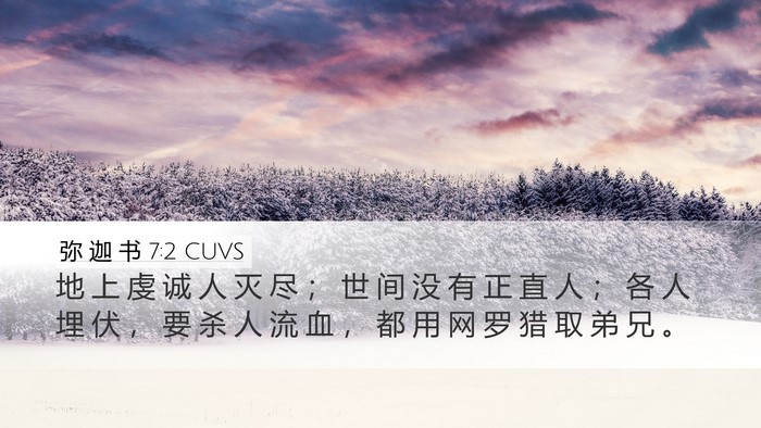 弥 迦 书 7:2 CUVS Bible Verse Image
