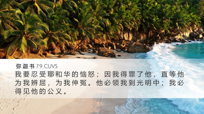 弥 迦 书 7:9 CUVS Bible Verse Image