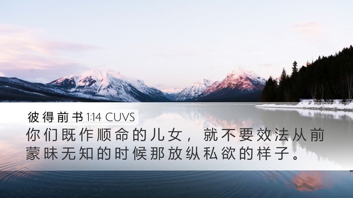 彼 得 前 书 1:14 CUVS Bible Verse Image