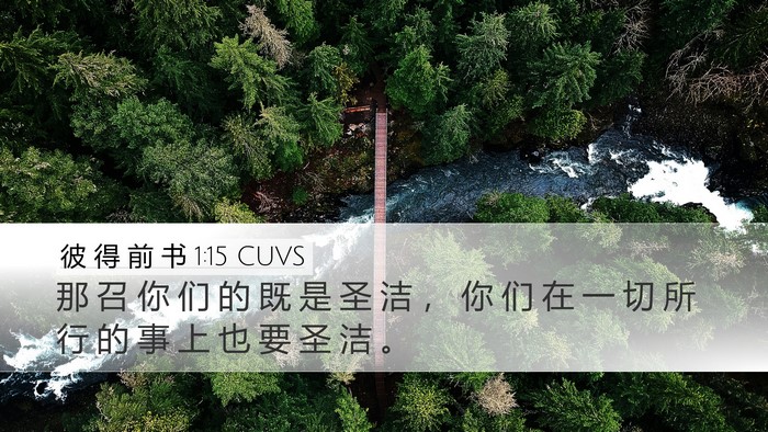 彼 得 前 书 1:15 CUVS Bible Verse Image