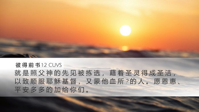 彼 得 前 书 1:2 CUVS Bible Verse Image