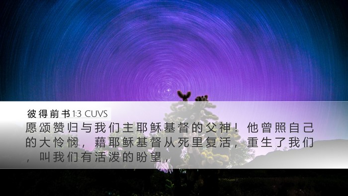 彼 得 前 书 1:3 CUVS Bible Verse Image