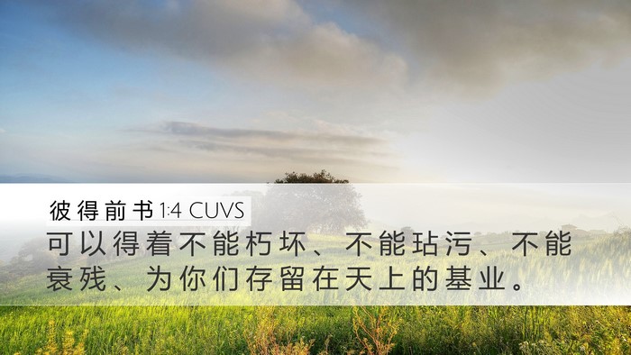 彼 得 前 书 1:4 CUVS Bible Verse Image