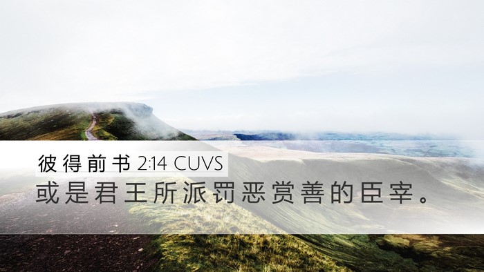 彼 得 前 书 2:14 CUVS Desktop Wallpaper - 或 是 君 王 所 派 罚 恶 赏 善 的 臣 - Desktop Bible Verse Wallpaper