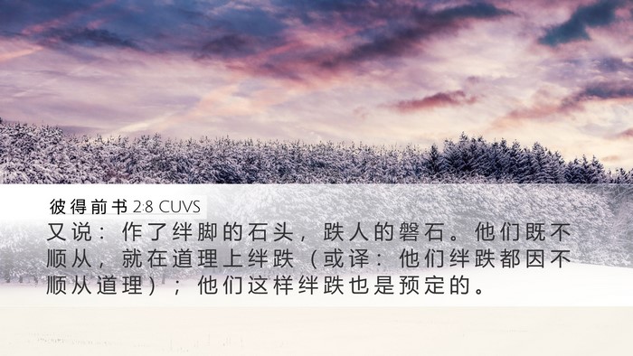 彼 得 前 书 2:8 CUVS Bible Verse Image