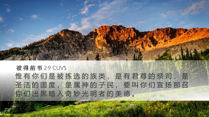 彼 得 前 书 2:9 CUVS Bible Verse Image