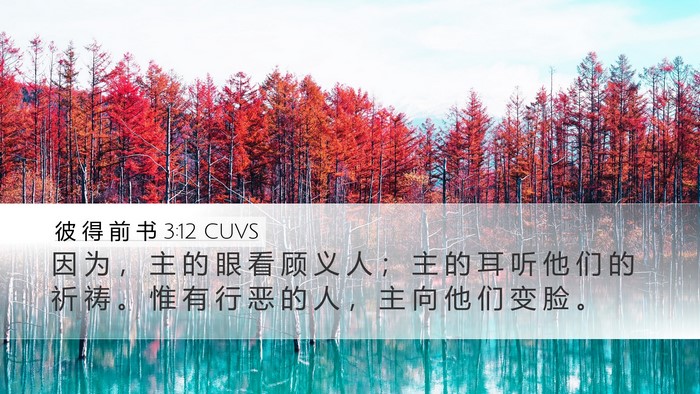 彼 得 前 书 3:12 CUVS Bible Verse Image