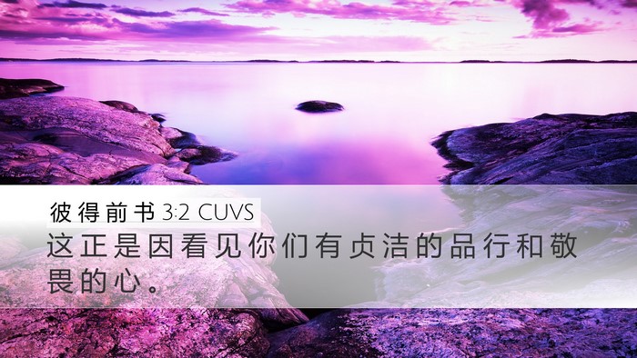彼 得 前 书 3:2 CUVS Desktop Wallpaper - 这 正 是 因 看 见 你 们 有 贞 洁 的 - Desktop Bible Verse Wallpaper