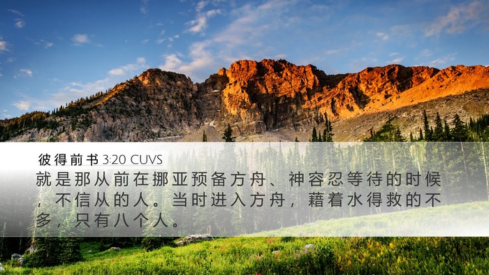 彼 得 前 书 3:20 CUVS Bible Verse Image