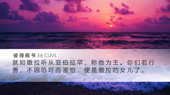 彼 得 前 书 3:6 CUVS Bible Verse Image