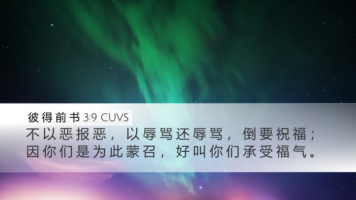 彼 得 前 书 3:9 CUVS Bible Verse Image