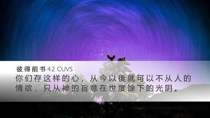 彼 得 前 书 4:2 CUVS Bible Verse Image