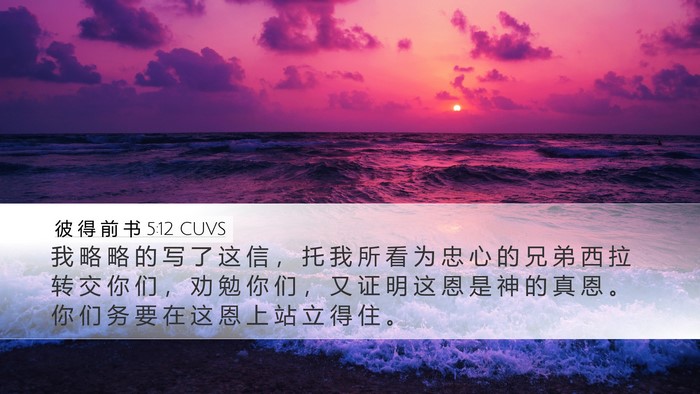 彼 得 前 书 5:12 CUVS Bible Verse Image