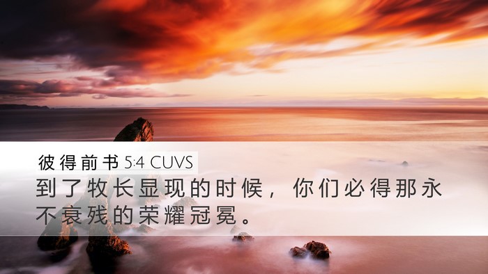 彼 得 前 书 5:4 CUVS Bible Verse Image