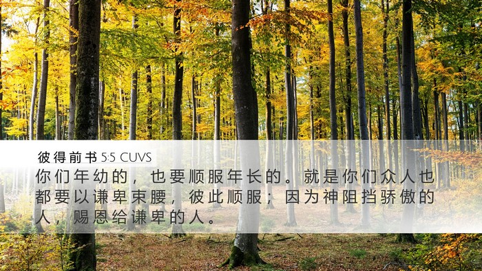 彼 得 前 书 5:5 CUVS Bible Verse Image