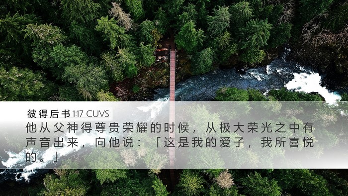 彼 得 后 书 1:17 CUVS Desktop Wallpaper - 他 从 父 神 得 尊 贵 荣 耀 的 时 候 - Desktop Bible Verse Wallpaper