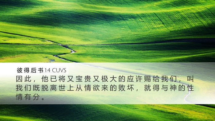 彼 得 后 书 1:4 CUVS Bible Verse Image