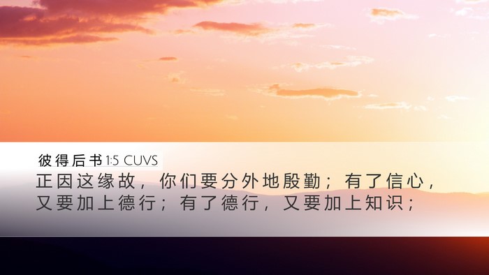 彼 得 后 书 1:5 CUVS Bible Verse Image
