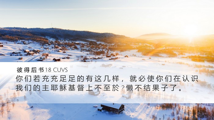 彼 得 后 书 1:8 CUVS Desktop Wallpaper - 你 们 若 充 充 足 足 的 有 这 几 样 - Desktop Bible Verse Wallpaper
