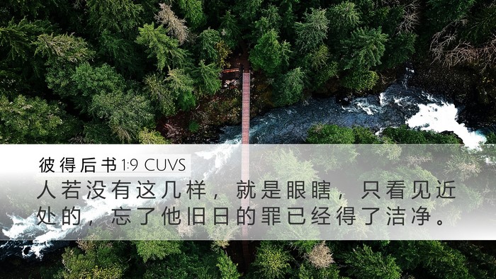 彼 得 后 书 1:9 CUVS Desktop Wallpaper - 人 若 没 有 这 几 样 ， 就 是 眼 瞎 - Desktop Bible Verse Wallpaper