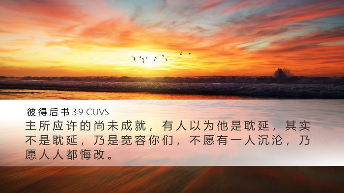 彼 得 后 书 3:9 CUVS Bible Verse Image