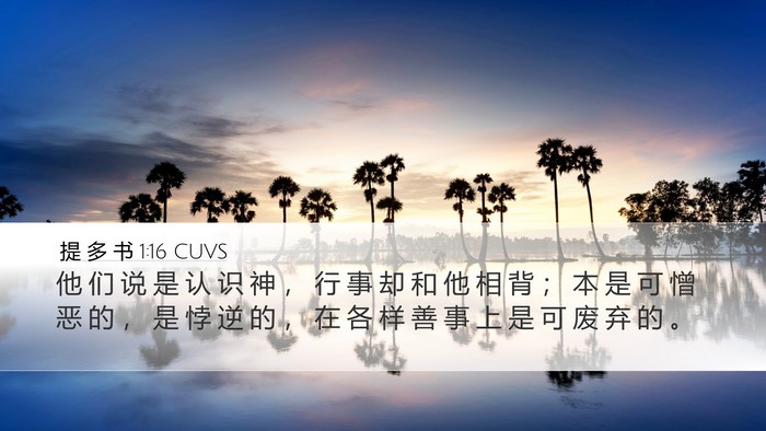 提 多 书 1:16 CUVS Bible Verse Image