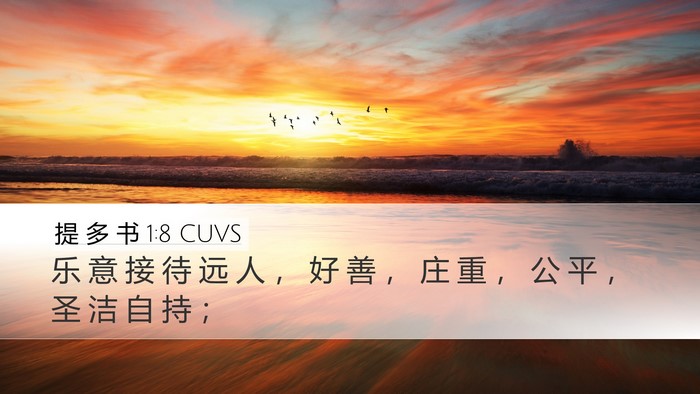 提 多 书 1:8 CUVS Bible Verse Image